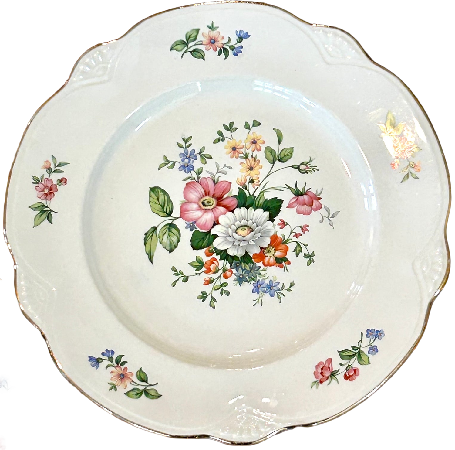 Plate 4